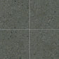 Gris (RMS-06) grounted